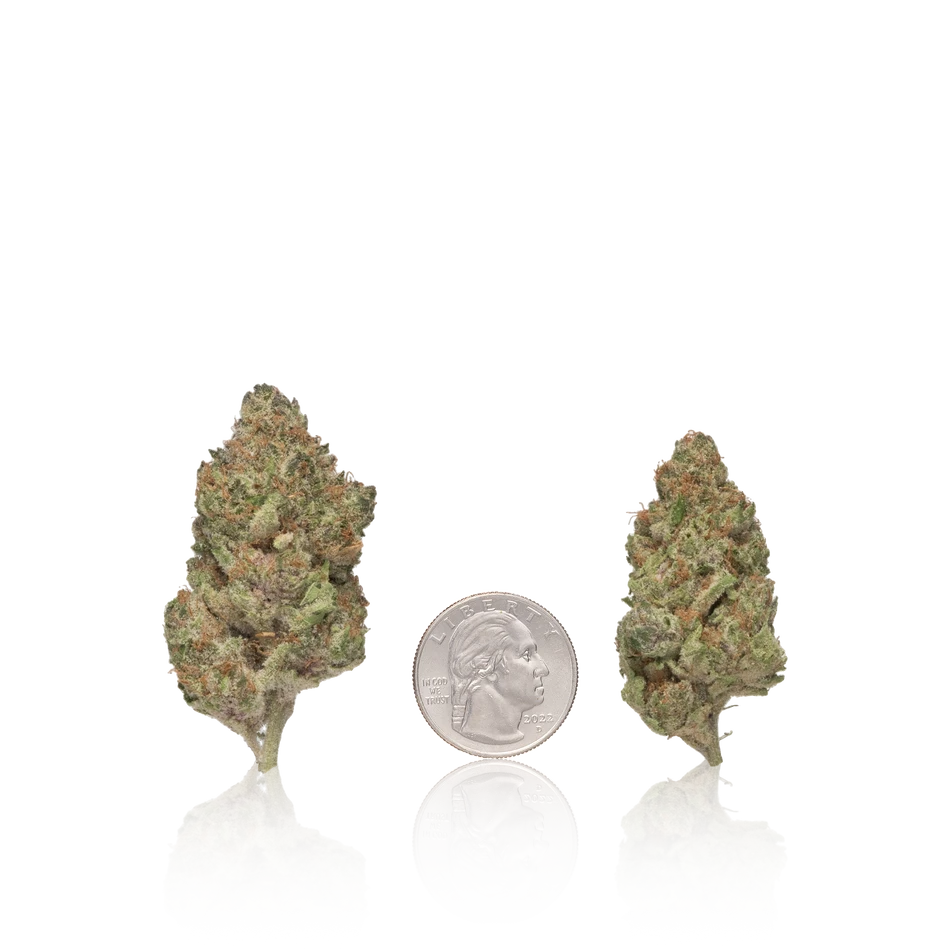 Premium Flower